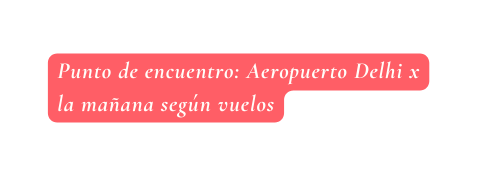 Punto de encuentro Aeropuerto Delhi x la mañana según vuelos